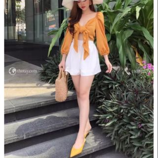 Set áo kiểu thắt nơ giữa ngực phối quần đùi ống rộng