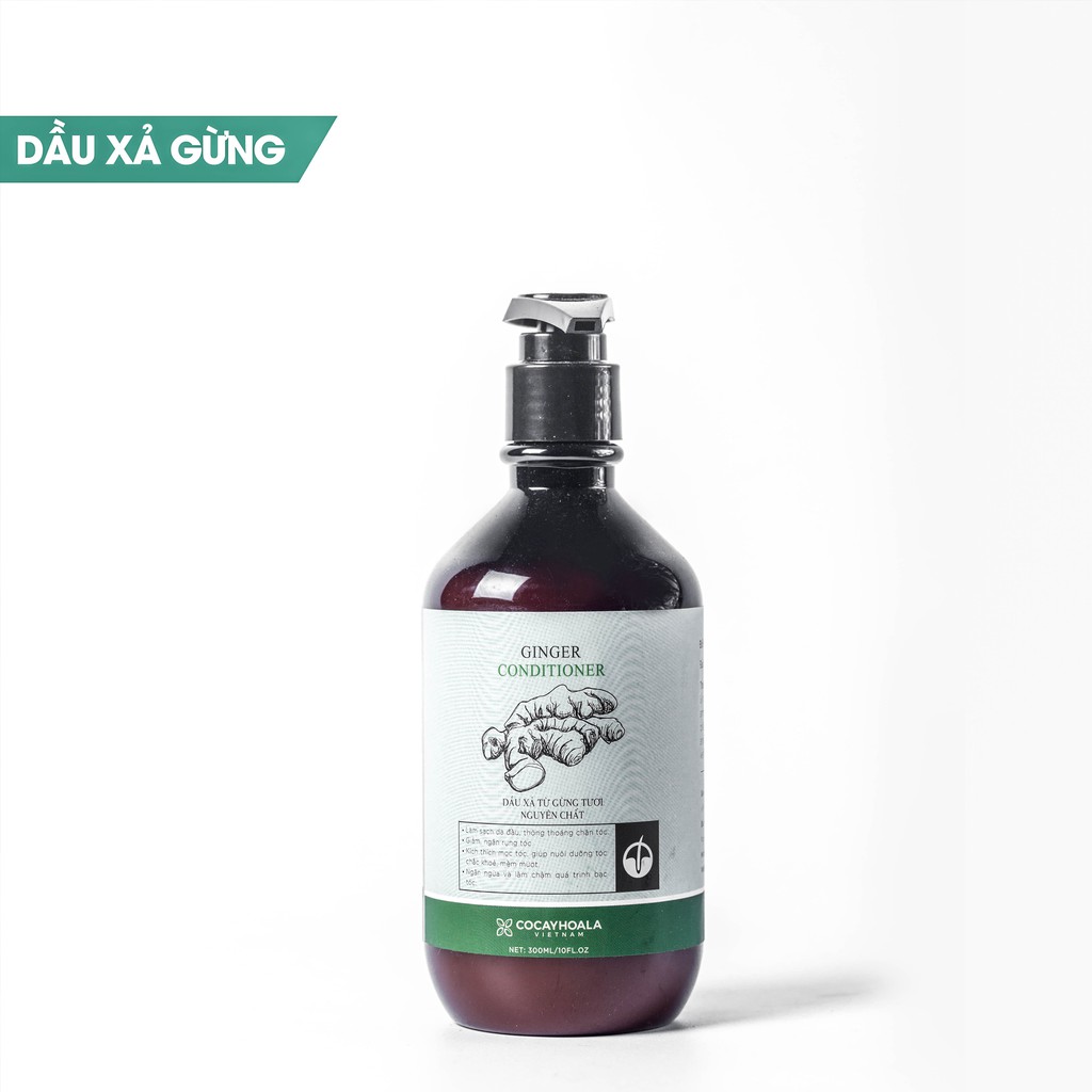 Dầu Xả Gừng Tươi Dưỡng Tóc Mềm Mượt Cocayhoala 300ml | BigBuy360 - bigbuy360.vn