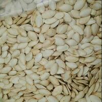 Hạt bí trắng loại 1