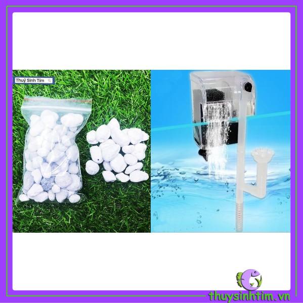 Combo Lọc Zy003 + Matrix 100ml