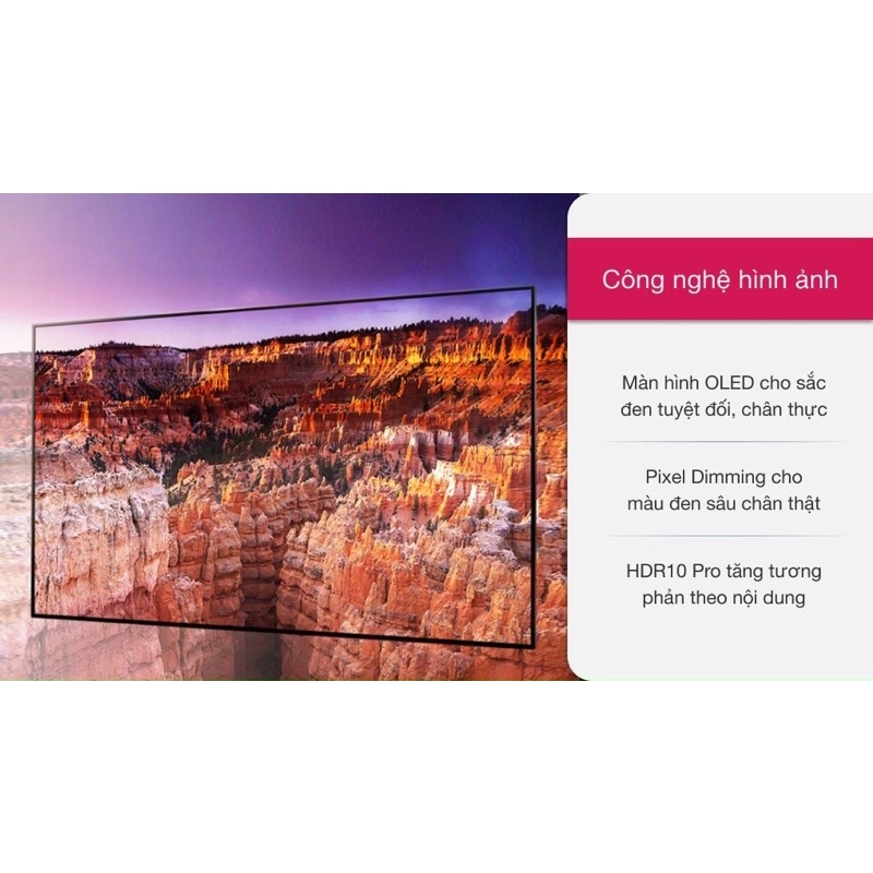 Smart Tivi OLED LG 4K 48 inch 48CXPTA