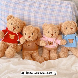 Gấu bông mặc áo hoodie