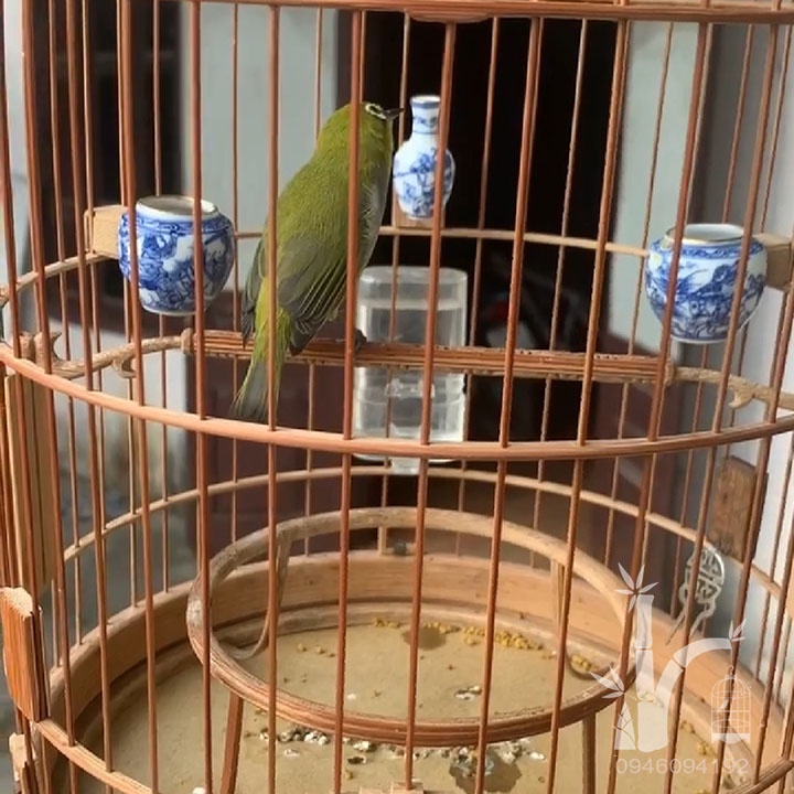 Cóng nước cho lồng khuyên