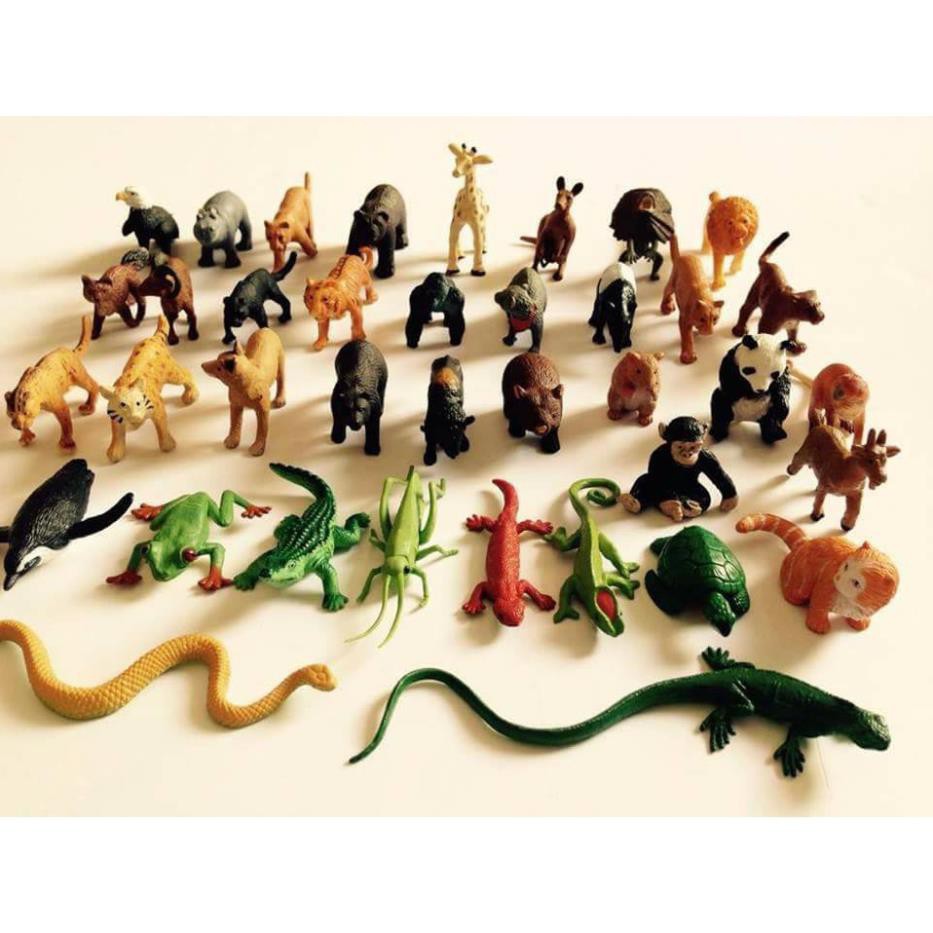 Bộ 36 động vật hoang dã SAFARI (hàng xuất dư) quà tặng cho bé trẻ em