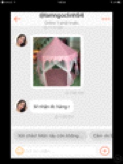 Liều công chúa mẫu mới 