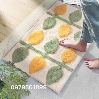 Thảm chùi chân cao cấp