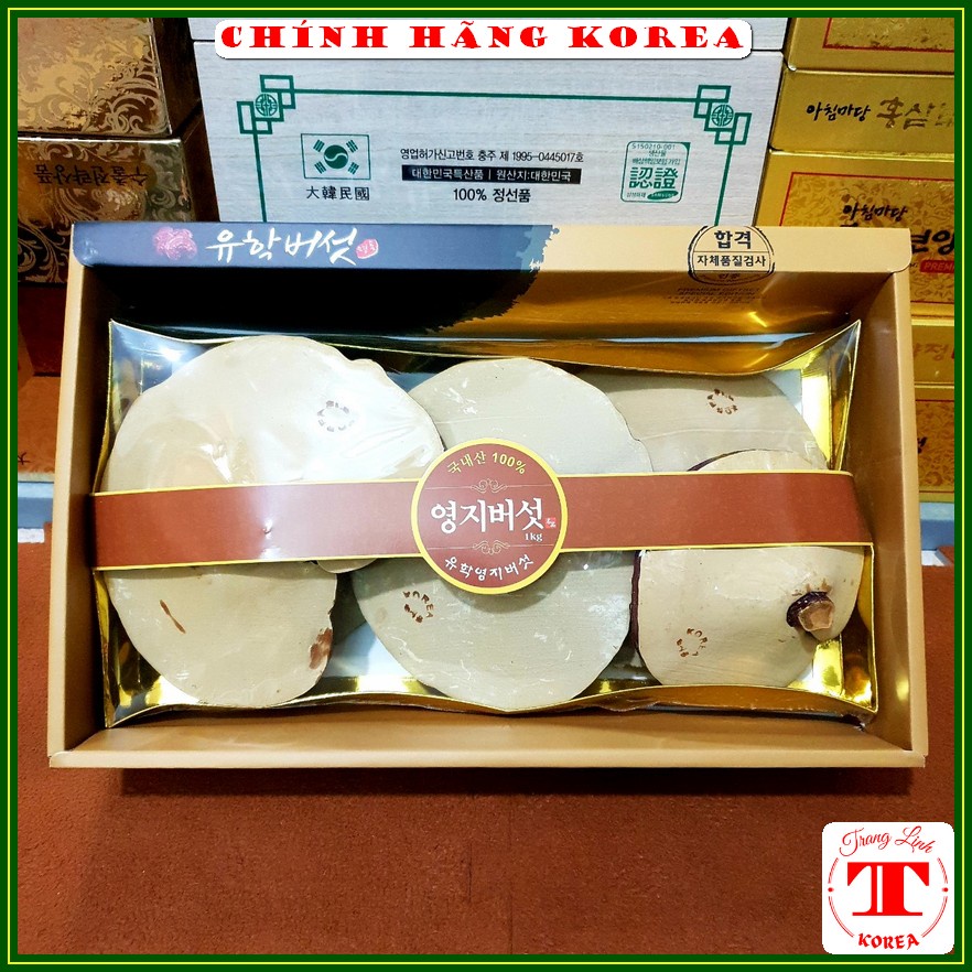 Nấm linh chi hàn quốc thượng hạng, hộp 1kg - Nấm linh chi đỏ - Thải độc, thanh lọc cơ thể, phòng ung thư - tranglinh
