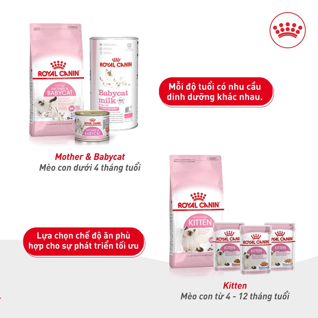 Hạt cho mèo nhỏ Royal canin kitten 2kg, thức ăn khô mèo con sơ sinh dưới 12 tháng tuổi Con Mèo Xiêm