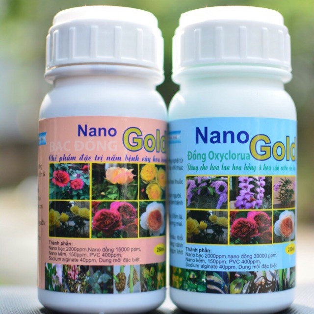[SIEURE] Nano bạc đồng hàng đẹp, phân phối chuyên nghiệp.