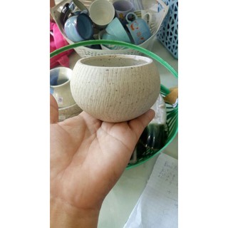 Chậu gốm mộc trồng sen đá