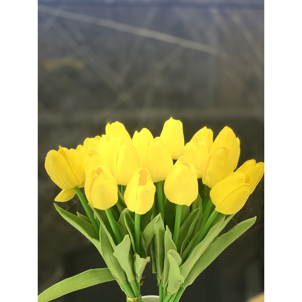 Hoa giả-Hoa Tulip cao cấp cành dài 35cm ẢNH THẬT