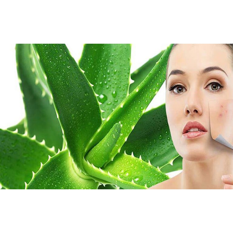 kem giảm mụn NC Nga gel lô hội giảm mụn ẩn mụn đầu đen mụn trứng cá mụn cám dùng cho da dầu da hỗn hợp [𝐓𝐚̣̆𝐧𝐠 𝐦𝐚́𝐲] | BigBuy360 - bigbuy360.vn