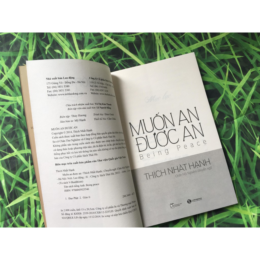 Sách - Muốn An Được An | BigBuy360 - bigbuy360.vn