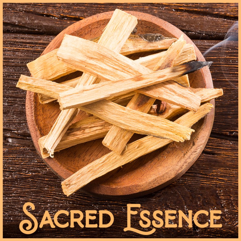 Pure Ecuadorian Palo Santo Holy Wood Deluxe Bundle - Thanh gỗ Trắc xanh nhập khẩu chất lượng tốt nhất | Sacred Essence