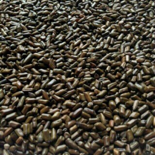 Combo 5kg hạt muồng muồng đồ chơi xúc cát