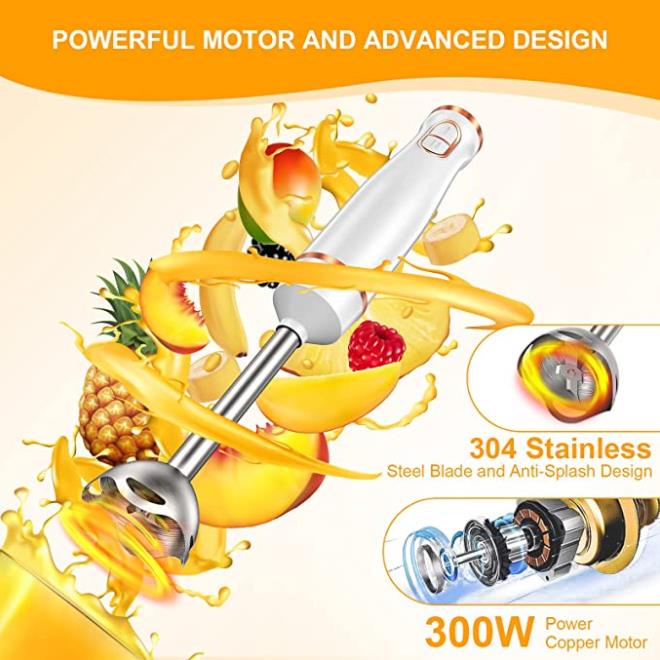 Máy xay cầm tay đa năng PHISINIC 4 trong 1 1000W 0.6L - máy xay sinh tố cầm tay đa năng Bản Đức