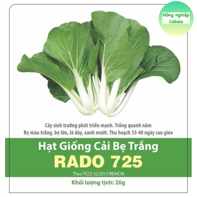 Hạt Giống Cải Bẹ Trắng Dễ Trồng, Giòn Ngọt 20gr