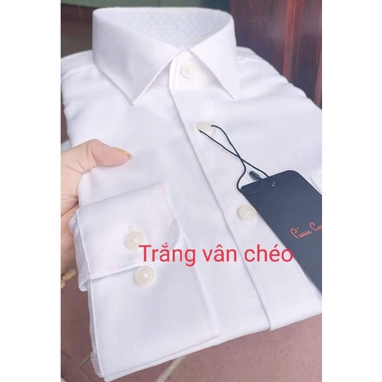 Trắng Pierrecardin xuất Hàn vân chéo sang trọng
