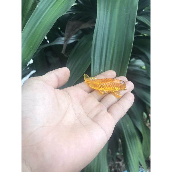 Phôi cá vàng cho   trang trí  mặt  bàn Epoxy resin