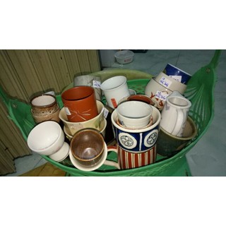 Chậu gốm trồng sen đá