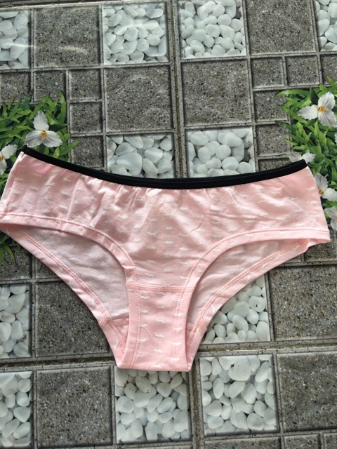 Quần combo 5 quần lót pink cotton kiểu dáng trẻ trung có size 45-65kg | SaleOff247