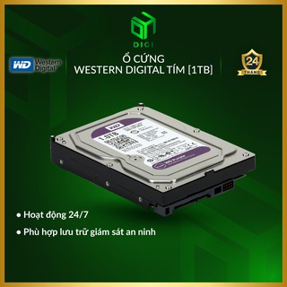 Ổ Cứng HDD Western Purple / Seagate Skyhawk 500GB / 1TB 3.5 inch (Hoạt Động 24/7)