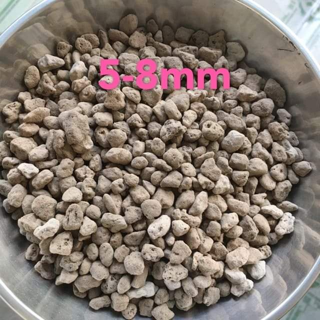 Đá Pumice giúp đất thoát nước tốt, thích hợp trồng sen đá, Xương rồng, Địa Lan, Phong Lan (Bịch 500 gam) size 5-8mm
