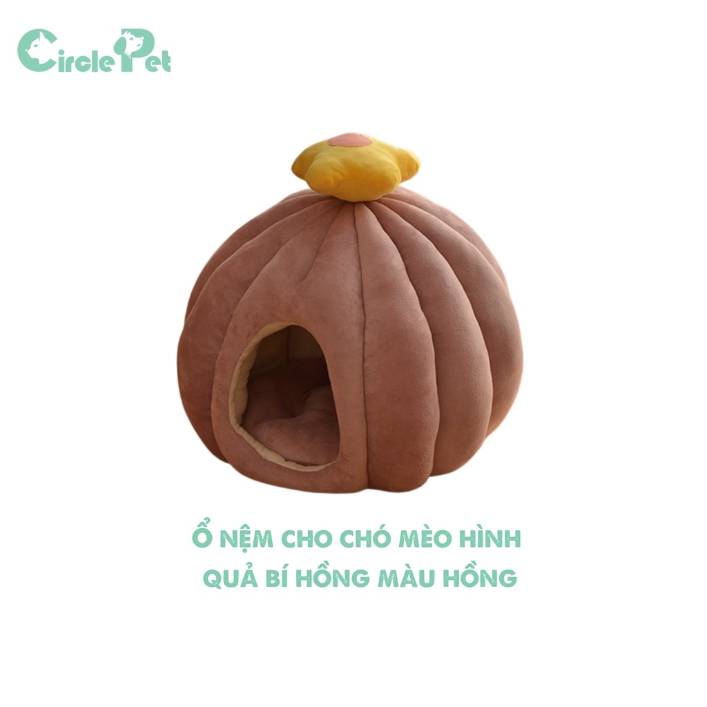 Đệm Nằm Cho Thú Cưng Hình Quả Bí Gắn Hoa Xinh Xắn Chất Vải Êm Ái 2 Màu Size M 50cm - Circle Pet
