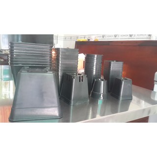 Chậu nhựa trồng rau củ quả