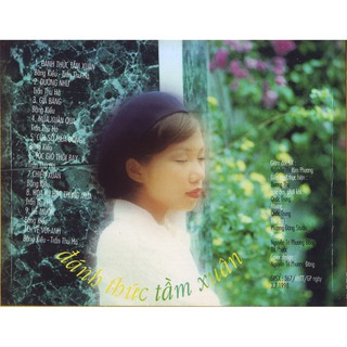 đĩa cd nhạc viêt 2