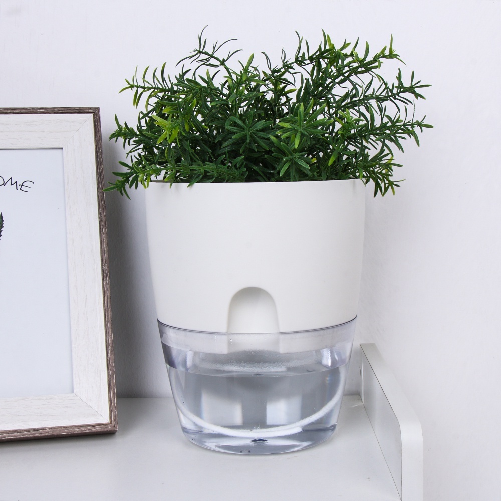 Chậu Trồng Cây Thủy Canh 2 Tầng Trong Suốt Tự Tưới Nước Tiện Dụng