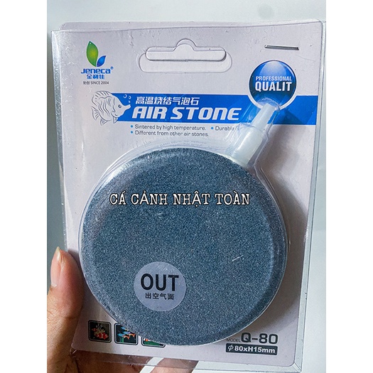 SỦI DĨA OXY BỂ CÁ CẢNH 10CM 12CM