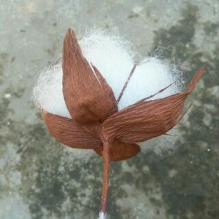 Hoa bông gòn handmade (cotton flower)