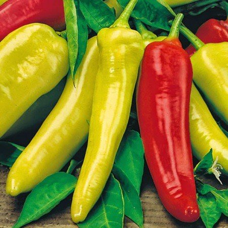 Phân bón lá GrowMore NPK All Purpose 20-20-20+TE To củ - Lớn trái - Chắc hạt Grow More 100gr
