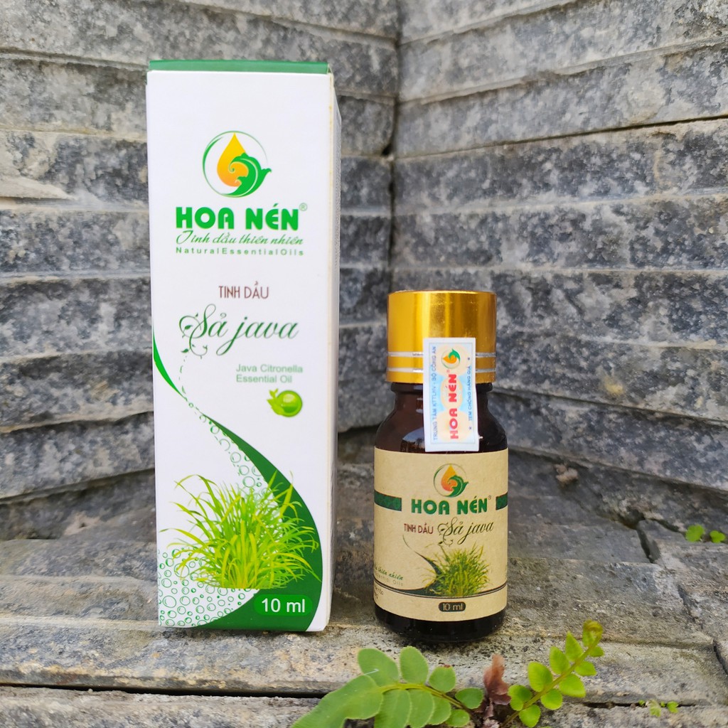 Tinh dầu sả java Hoa Nén 10ml NGUYÊN CHẤT 100%👉Tinh dầu đuỗi muỗi, khử mùi, diệt khuẩn hiệu quả