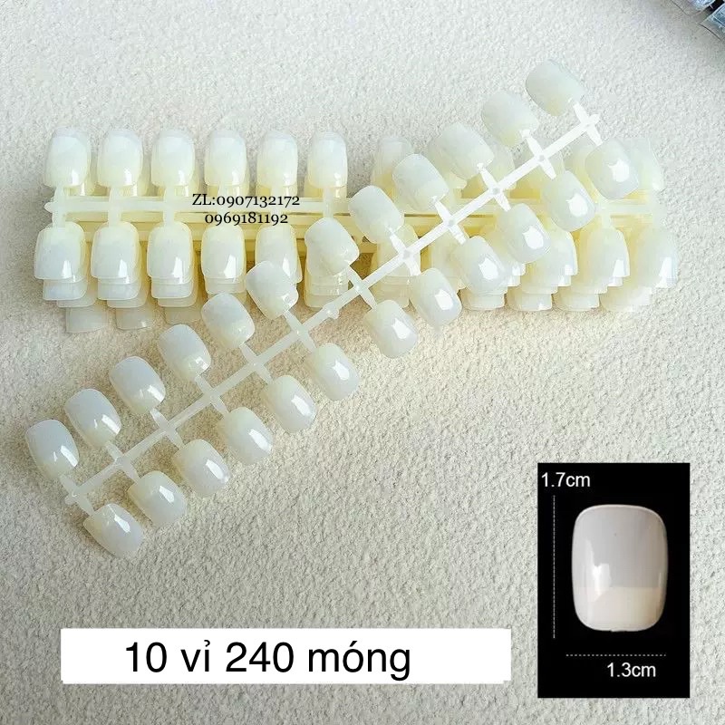 Móng Mẫu Hàn 240 móng, Vĩ MóngTập Sơn ,Vẽ Mẫu Hàn