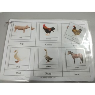 Bộ học liệu thử thách tư duy