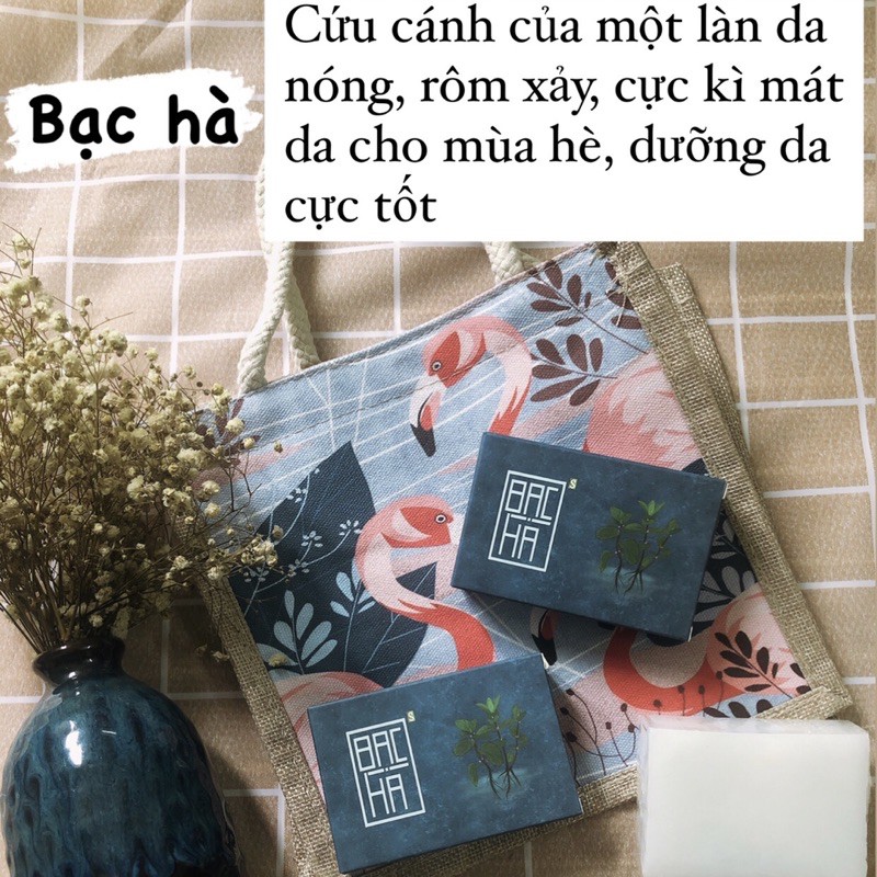 HÀNG CÓ SẴN - 10 LOẠI XÀ BÔNG THIÊN NHIÊN | BigBuy360 - bigbuy360.vn