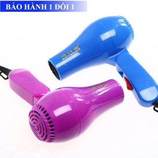 Máy sấy lông chó mèo mini cute