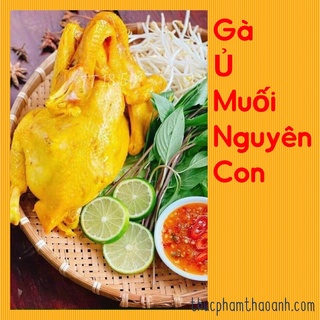 Gà Ri Ủ muối,gà ủ muối-nguyên con(tặng muối chấm )