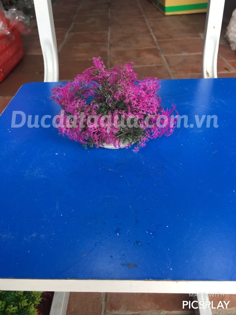 Cây nhựa hoa nhựa trang trí nội thất , bể cá