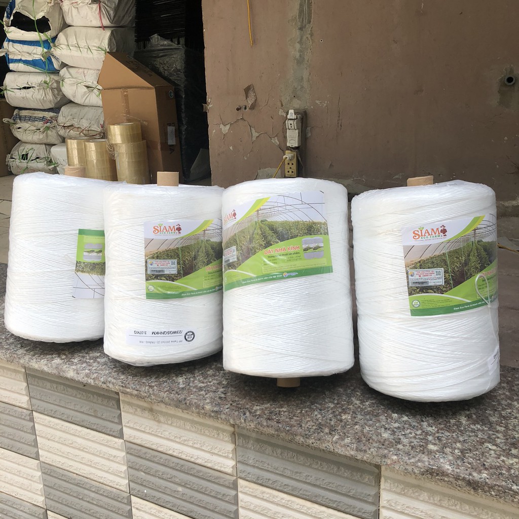 Sợi se dây nhà kính trồng dưa lưới