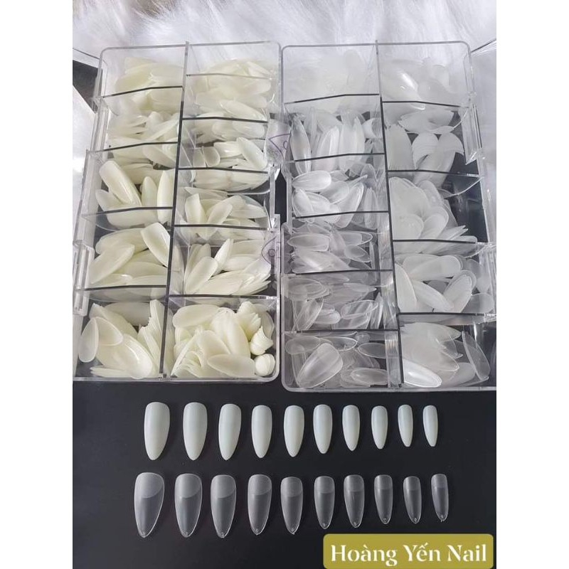 💥 Móng úp bầu hsm nhám sẵn💥