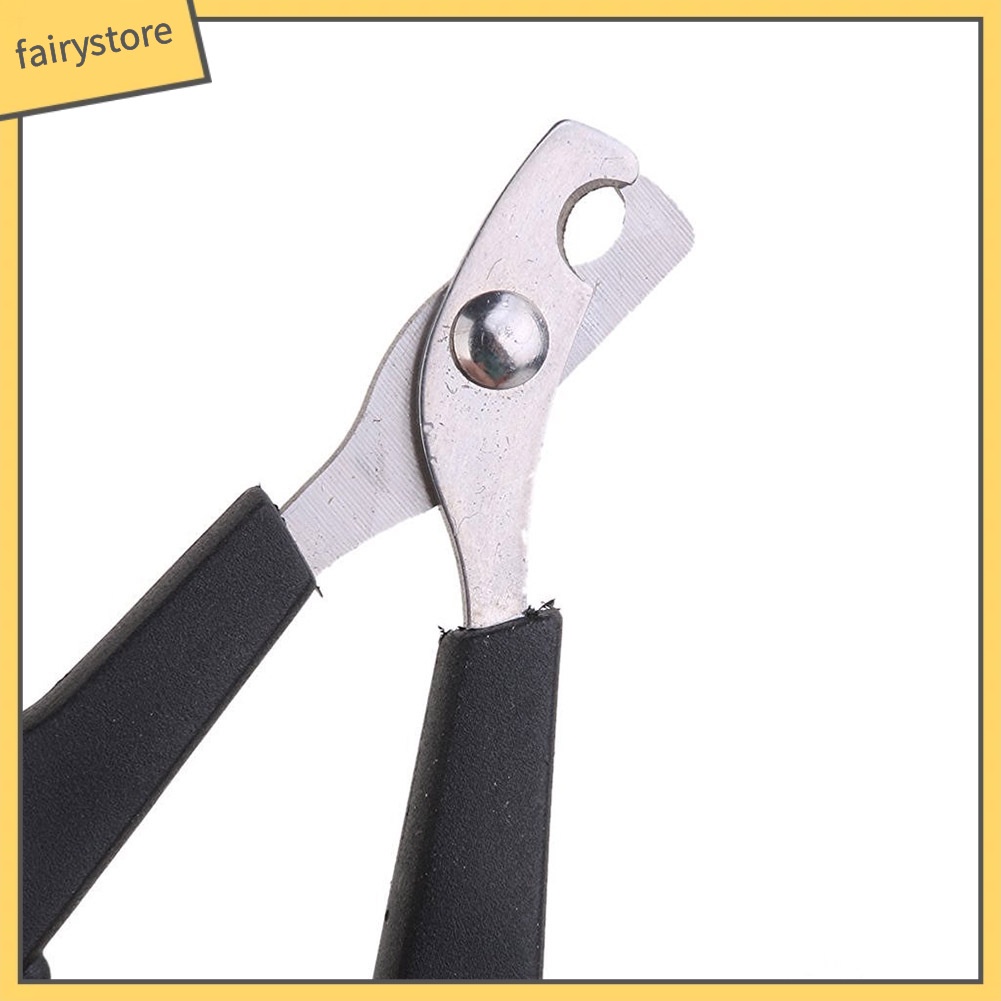 Đồ bấm móng an toàn cho thú cưng