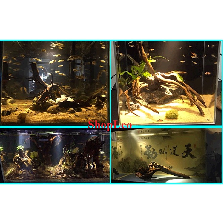 ĐÈN LED SIÊU RỌI 3W 3 CHẾ ĐỘ MÀU - ĐÈN RỌI BIOTOP