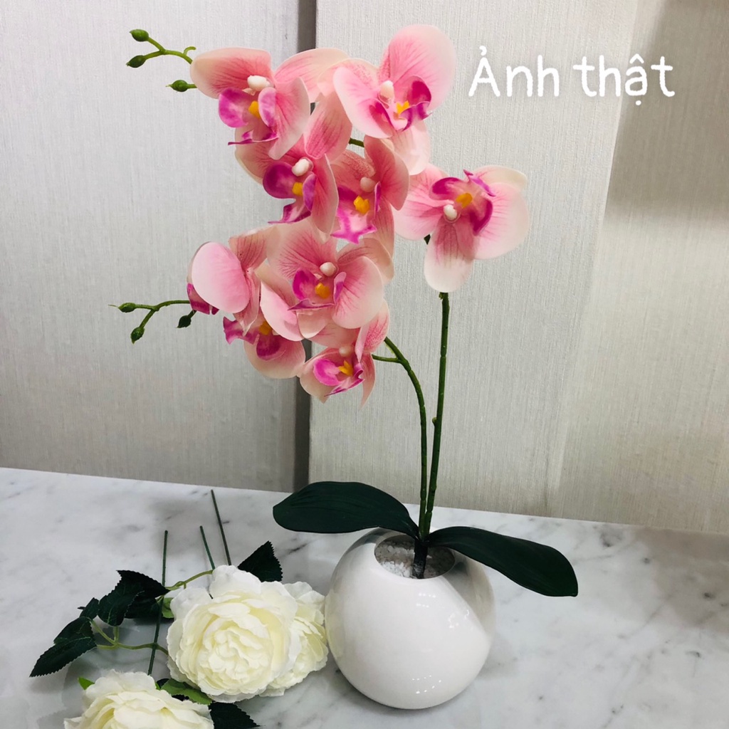 Chậu hoa giả Lan Hồ Điệp PU hai nhánh cao 35cm trang trí nhà cửa, để bàn phòng khách, bàn làm việc