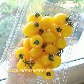 Hạt Giống Cà Chua Lùn Vàng - 30 Hạt