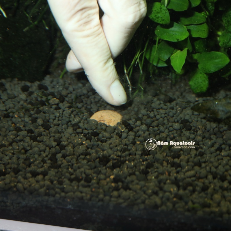 JBL PROFLORA 7+13 Balls | Phân Nhét Gốc JBL - Dùng Cho Bể Cá Thuỷ Sinh (Hộp 20 viên)