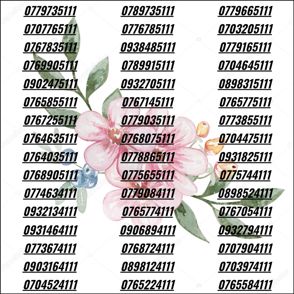 Sim đẹp tam hoa đặc biệt tiến lên sim 3G/4G/5G giá rẻ phong tiến khuyến mãi vĩnh viễn cho người làm ăn