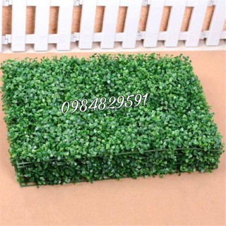 Thảm Cỏ Cải Xoong Nhân Tạo PVC 40x60cm, Loại 1